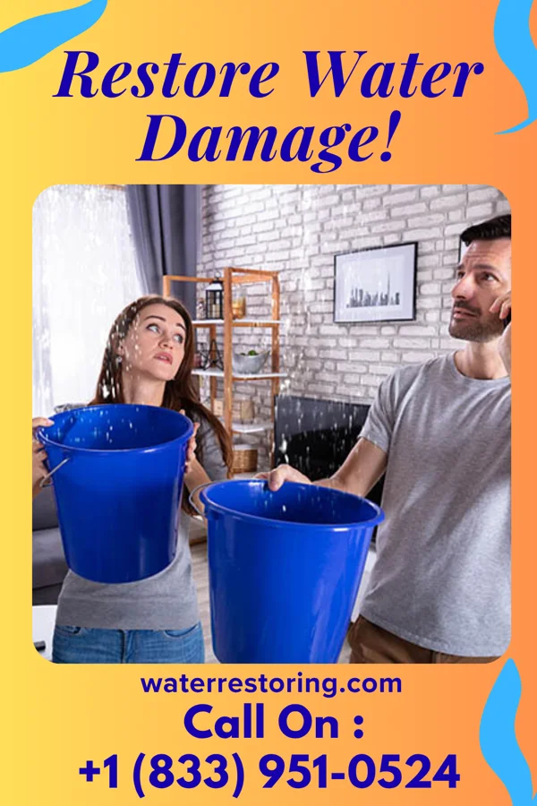 water restoration Platinum Disaster Cleanup Group Burlington